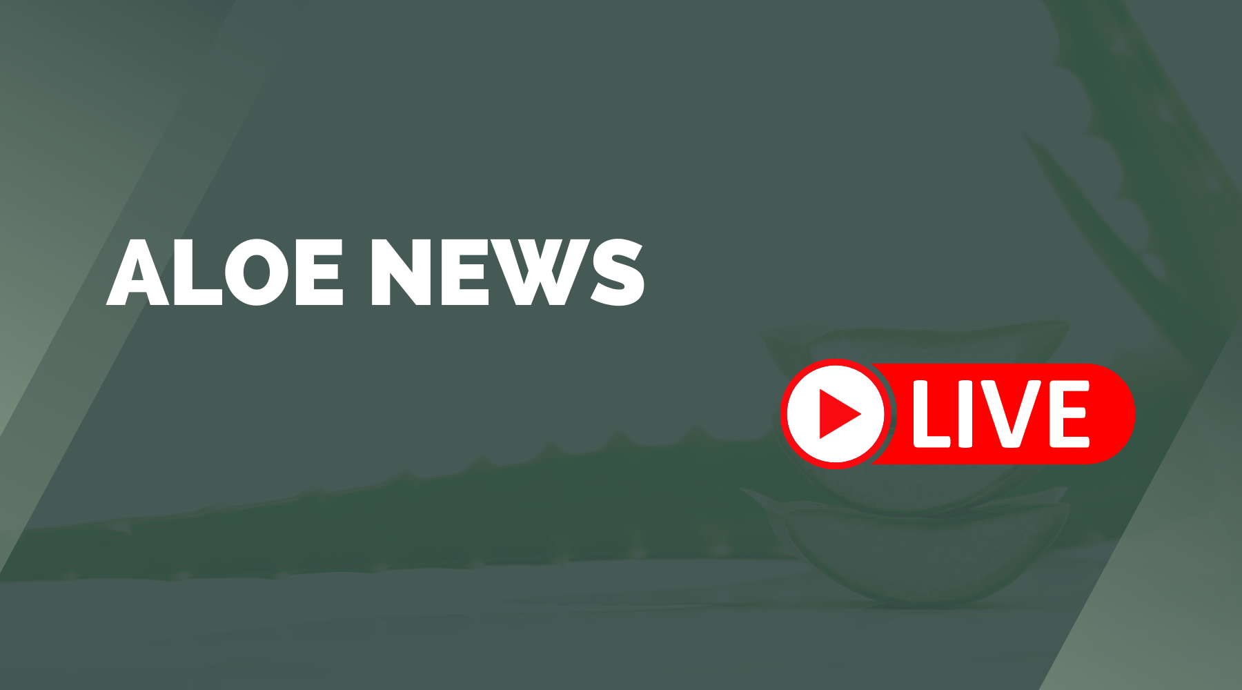 Aloe Vera News - Live Blog