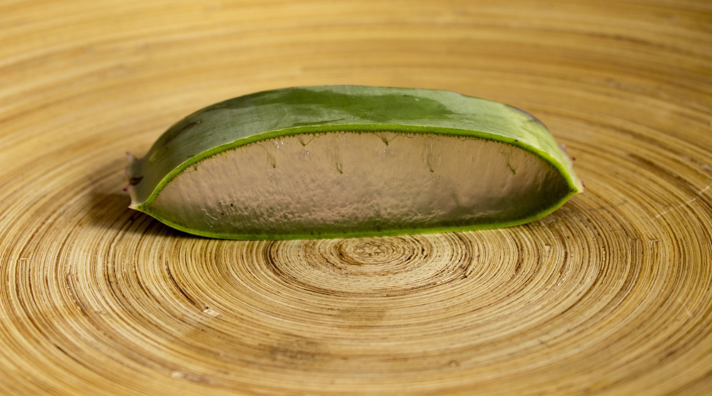 aloe vera hand Aloe Liquid Soap | Hand Care main image 1