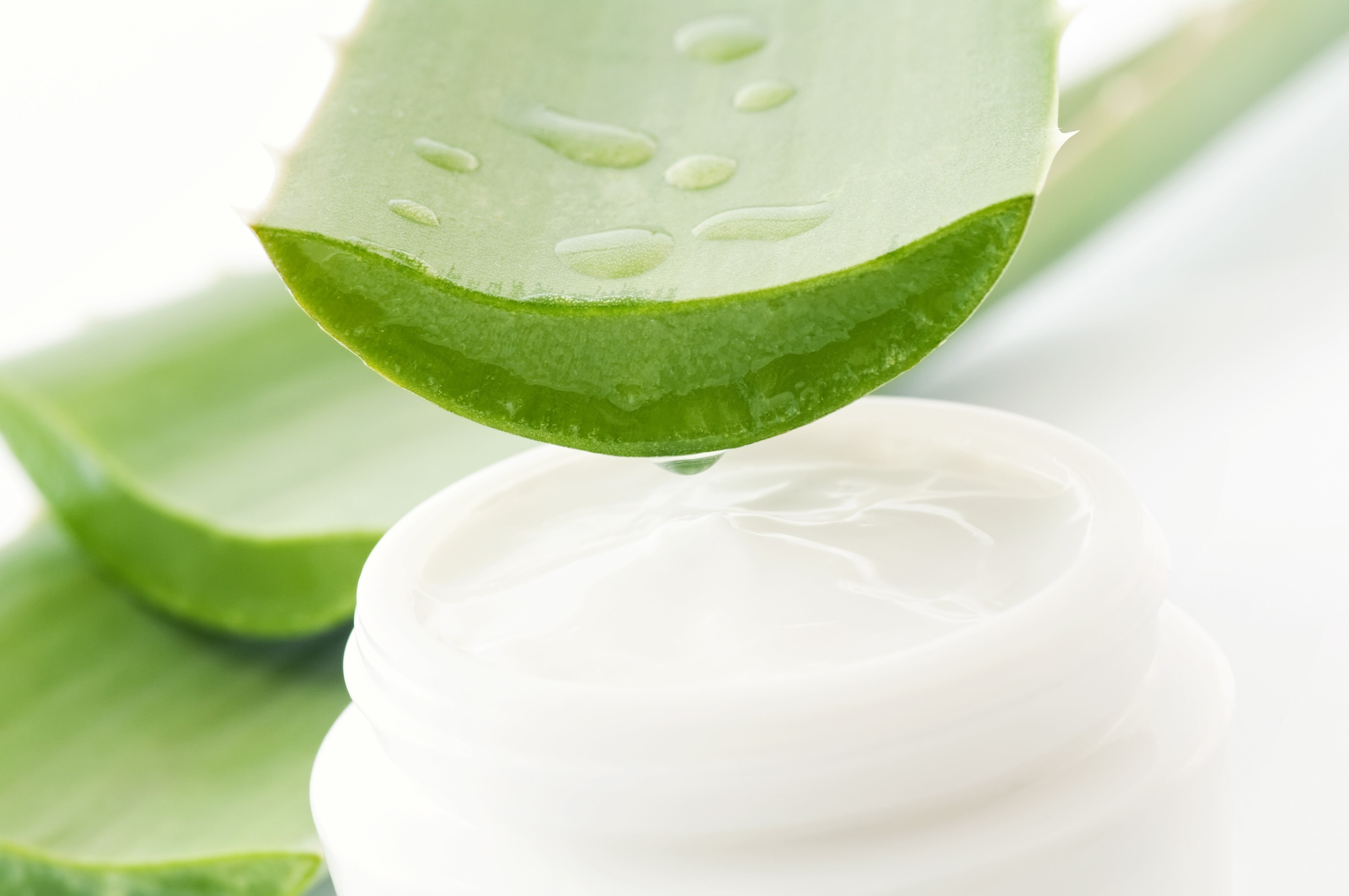 Aloe Vera for your health