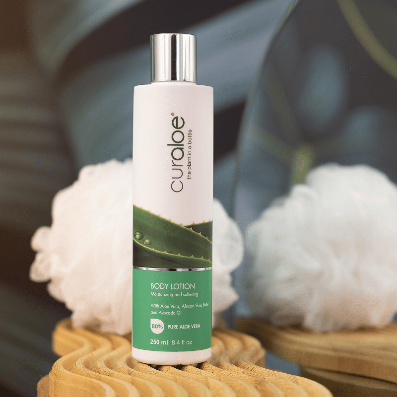 Luxurious body lotion by Curaloe with African Shea Butter and Olive Oil, designed to enhance skin elasticity and firmness
