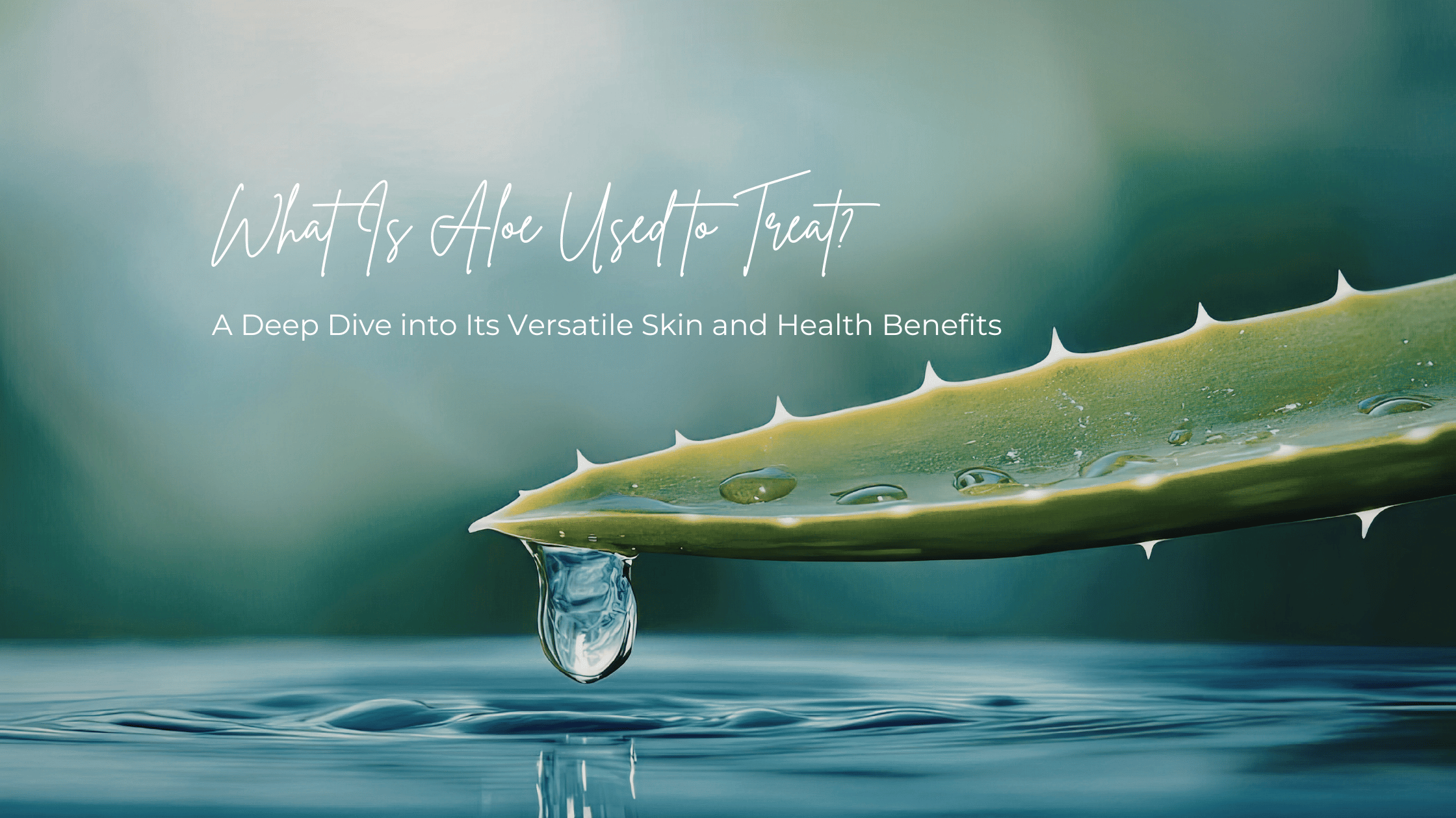 What Is Aloe Used to Treat? A Deep Dive into Its Versatile Skin and Health Benefits
