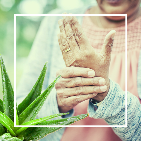 We've Got Your Back. Here Are 4 Powerful Benefits You Can Get from Using Aloe Vera While Suffering From Arthritis!