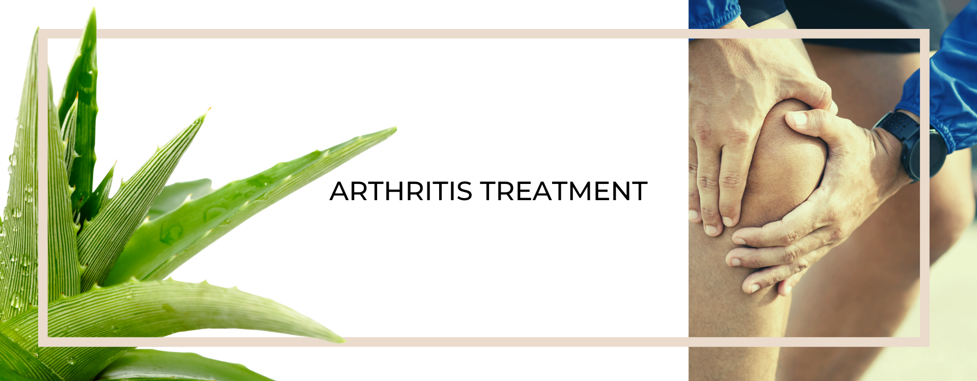 Aloe Vera for Arthritis Treatment