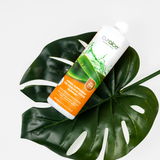 Digestive System Support Supplement Value Pack - 95% Aloe Vera
