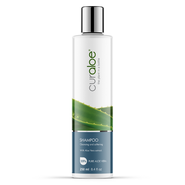 aloe vera plant shampoo Curaloe Aloe Vera Shampoo