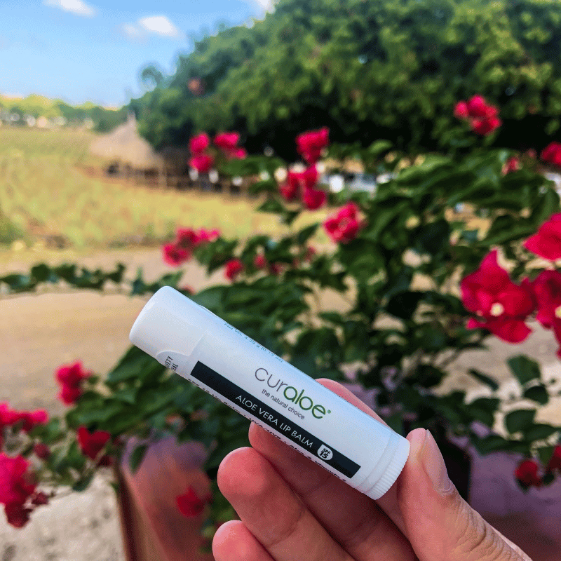 Lip Balm for Dry, Cracked Lips - SPF 15 Chapstick for All Weather Conditions