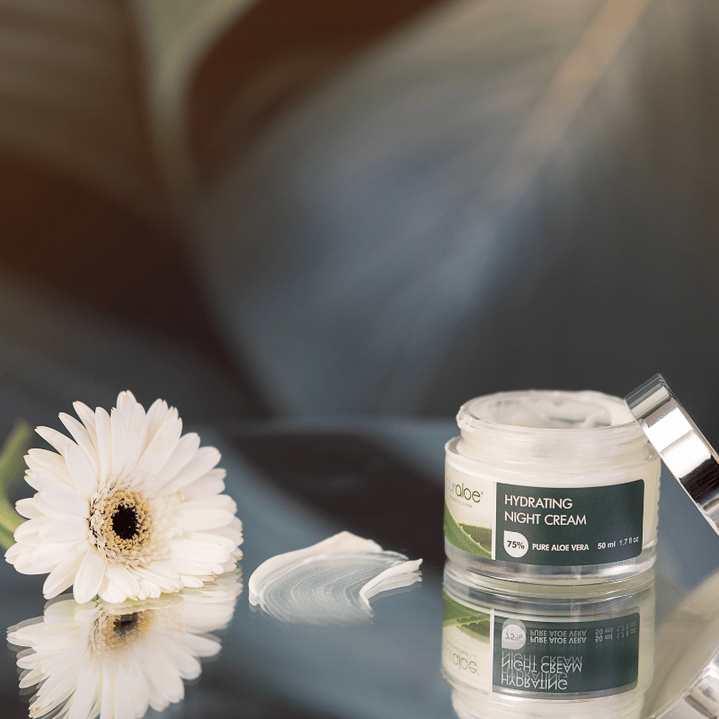 Curaloe Night Cream - Overnight Hydration and Repair for All Skin Types